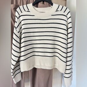 Tahari Knit Sweater